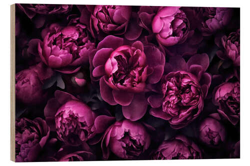 Quadro de madeira Purple Peonies