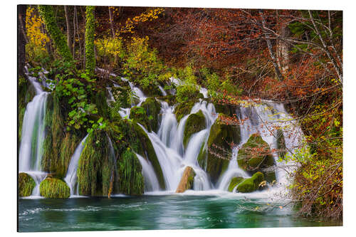 Aluminium print Small Waterfall in the Colourful Forest