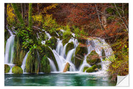 Selvklebende plakat Small Waterfall in the Colourful Forest