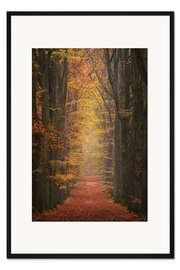 Gerahmter Kunstdruck Bunter Waldweg
