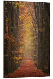 Magnettafel Bunter Waldweg