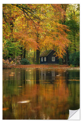 Vinilo para la pared Fall Reflections