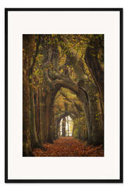 Gerahmter Kunstdruck Baumtunnel in den Niederlanden