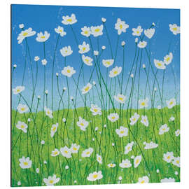 Magnettafel Jesse's Daises