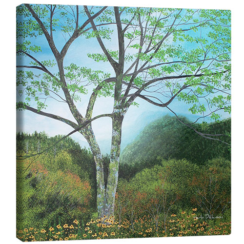 Canvas print New Found Gap