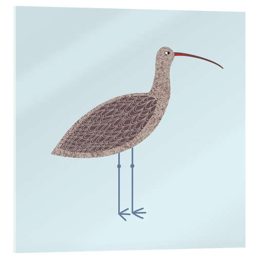 Acrylic print Curlew