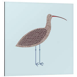 Stampa su alluminio Curlew