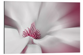 Aluminium print Magnolia flower