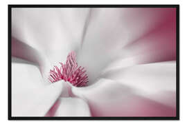 Gerahmter Kunstdruck Magnolienblüte