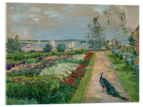 Acrylglasbild Park am Wannsee (Blumengarten mit Pfau), 1912