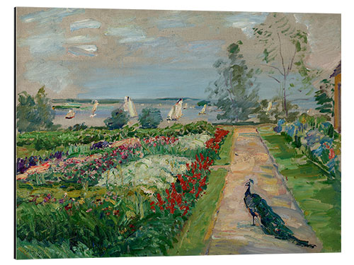 Cuadro de aluminio Park at Wannsee (flower garden with peacock), 1912