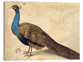 Wood print Peacock, Nicolaus Juvenel, 1559