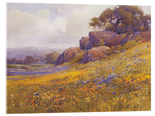 Quadro em acrílico Near Burlingame, California, Percy Gray