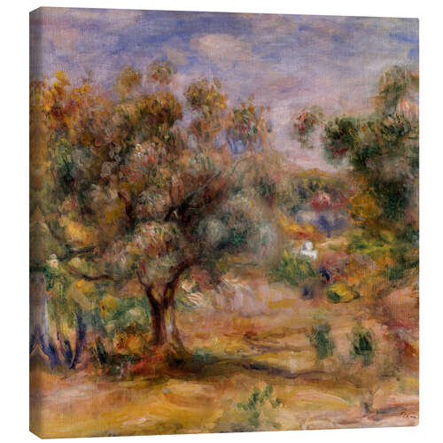 Canvas print Olive tree in Les Collettes