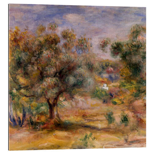 Gallery print Olive tree in Les Collettes