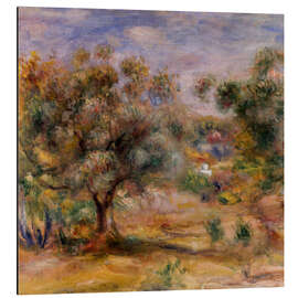 Magnettafel Olivenbaum in Les Collettes