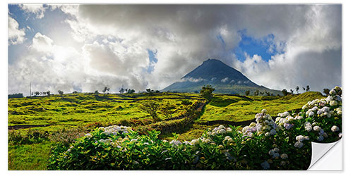 Wall sticker Pico volcano with hydrangea flowers, Azores