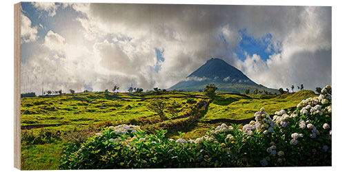 Wood print Pico volcano with hydrangea flowers, Azores