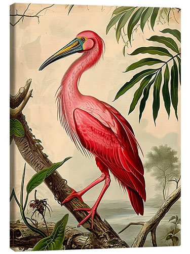 Lienzo Hooping Crane after Audubon