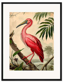 Gerahmter Kunstdruck Reifenkran nach Audubon