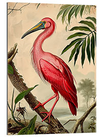 Gallery print Hooping Crane after Audubon