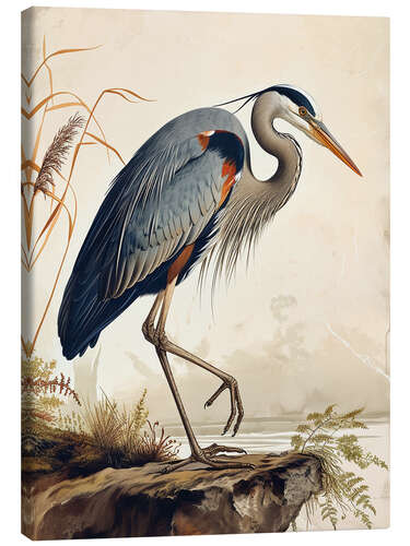 Canvas print Great Blue Heron after Audubon