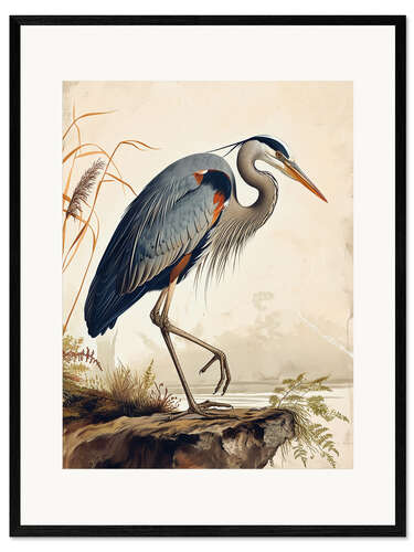 Impresión de arte enmarcada Great Blue Heron after Audubon