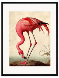 Gerahmter Kunstdruck Rosa Flamingo nach Audubon