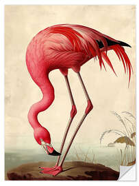 Vinilo para la pared Pink Flamingo after Audubon