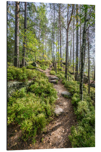 Quadro em alumínio Hiking on the Malerweg in Saxon Switzerland