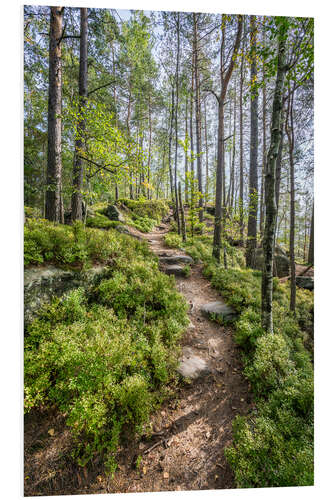 Cuadro de PVC Hiking on the Malerweg in Saxon Switzerland