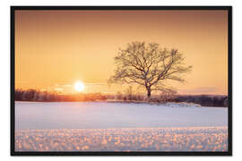 Gerahmter Kunstdruck Einsamer Baum in winterlicher Landschaft