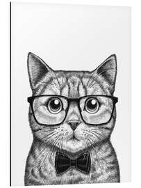 Aluminium print Intelligent Cat