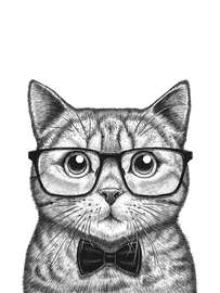 Magnettafel Schlaue Katze