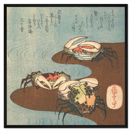 Gerahmter Kunstdruck Krabben in der Nähe des Wasserrandes