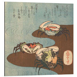 Magnettafel Krabben in der Nähe des Wasserrandes