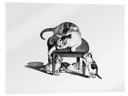 Tableau en verre acrylique Cat on Stool