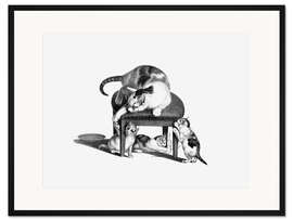 Gerahmter Kunstdruck Katze auf Hocker