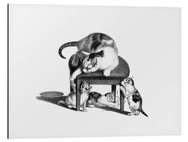 Magnettafel Katze auf Hocker