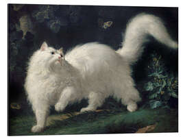Tableau en aluminium Angora Cat Chasing a Butterfly