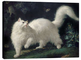 Stampa su tela Angora Cat Chasing a Butterfly