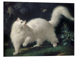 Foam board print Angora Cat Chasing a Butterfly