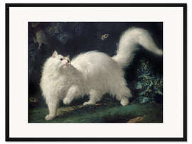 Gerahmter Kunstdruck Angorakatze auf der Jagd nach einem Schmetterling