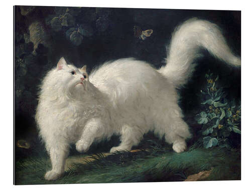 Galleriprint Angora Cat Chasing a Butterfly