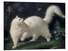 Gallery print Angora Cat Chasing a Butterfly