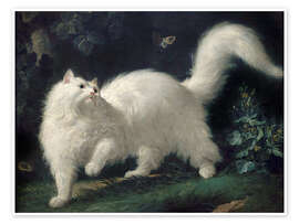 Poster Angora Cat Chasing a Butterfly