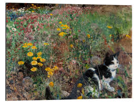 Aluminiumtavla Cat on a Flowery Meadow, 1887