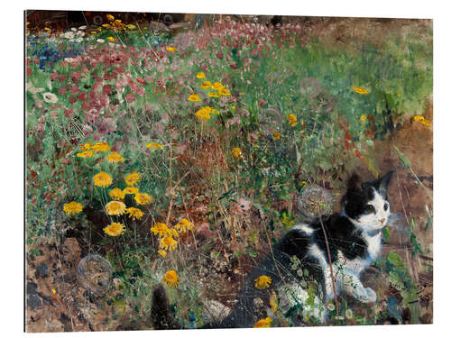 Stampa su plexi-alluminio Cat on a Flowery Meadow, 1887