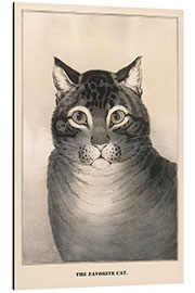 Aluminium print The Favorite Cat