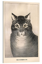 Gallery print The Favorite Cat